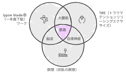 一本下駄ワーク・ＴＲＥ・冥想の３つのワークがそれぞれ関連し、意識を整えていきます